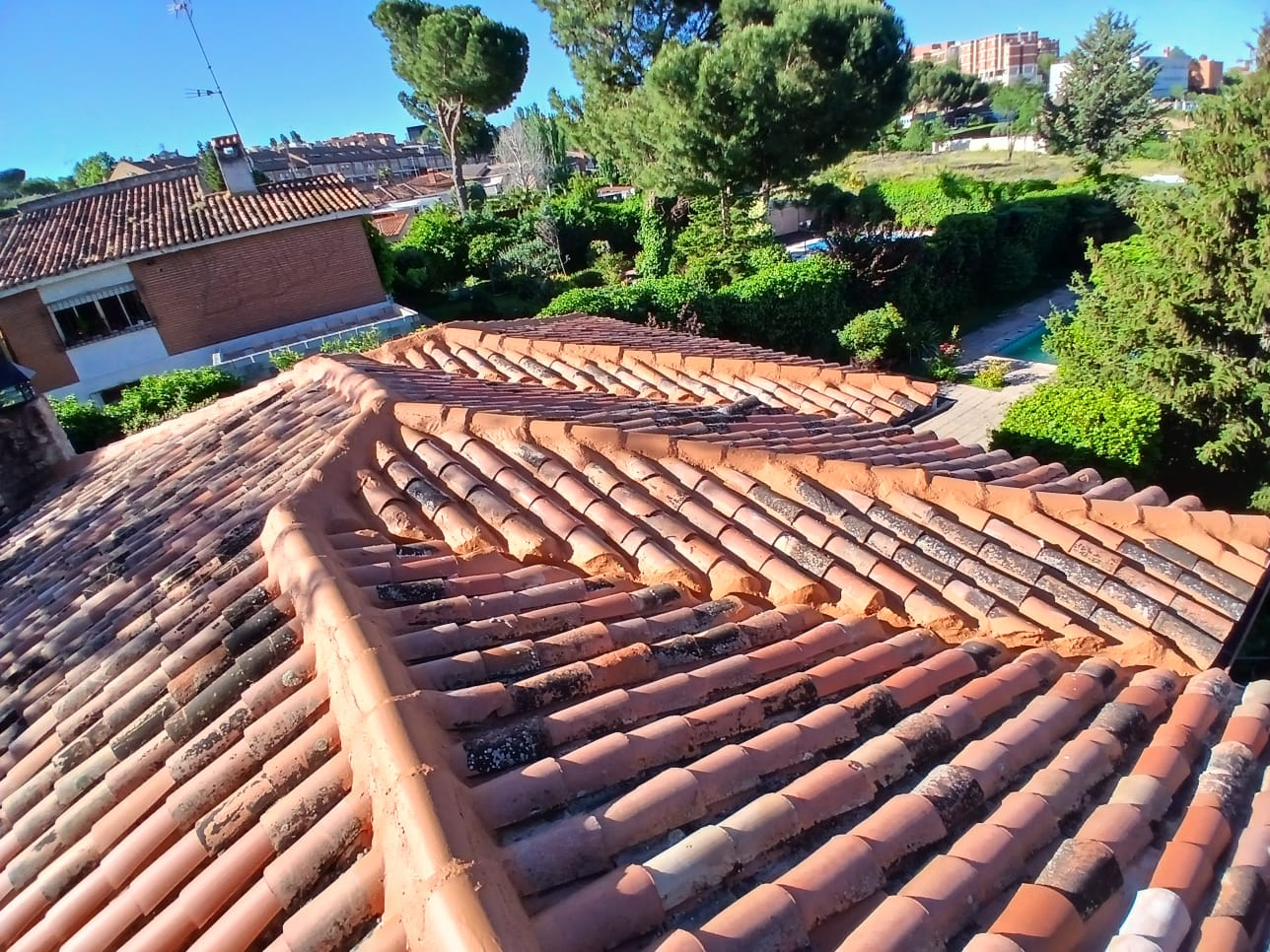 Tejado de teja curva rehabilitado con vistas al jardín