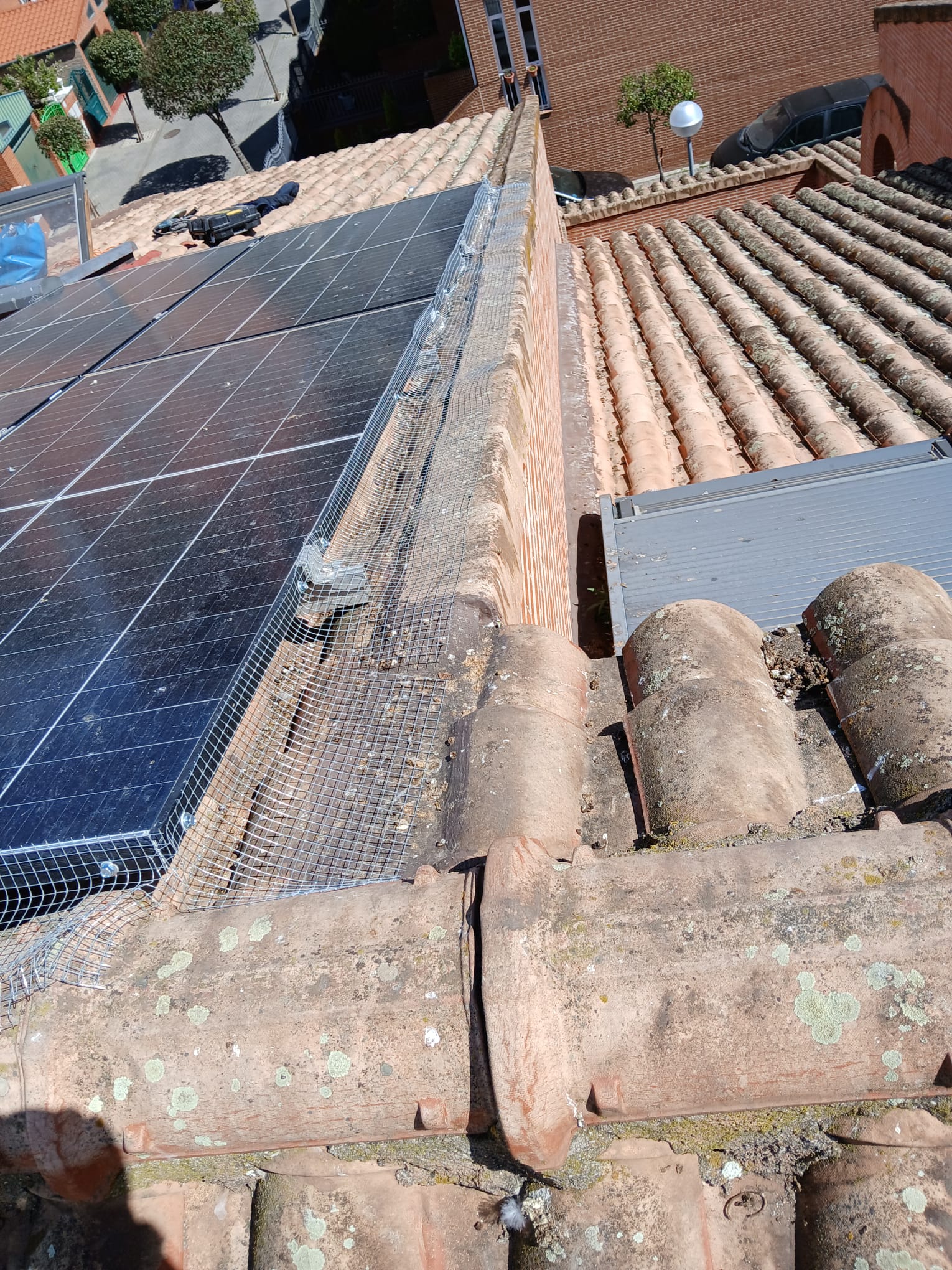 Mallas antipalomas en paneles solares